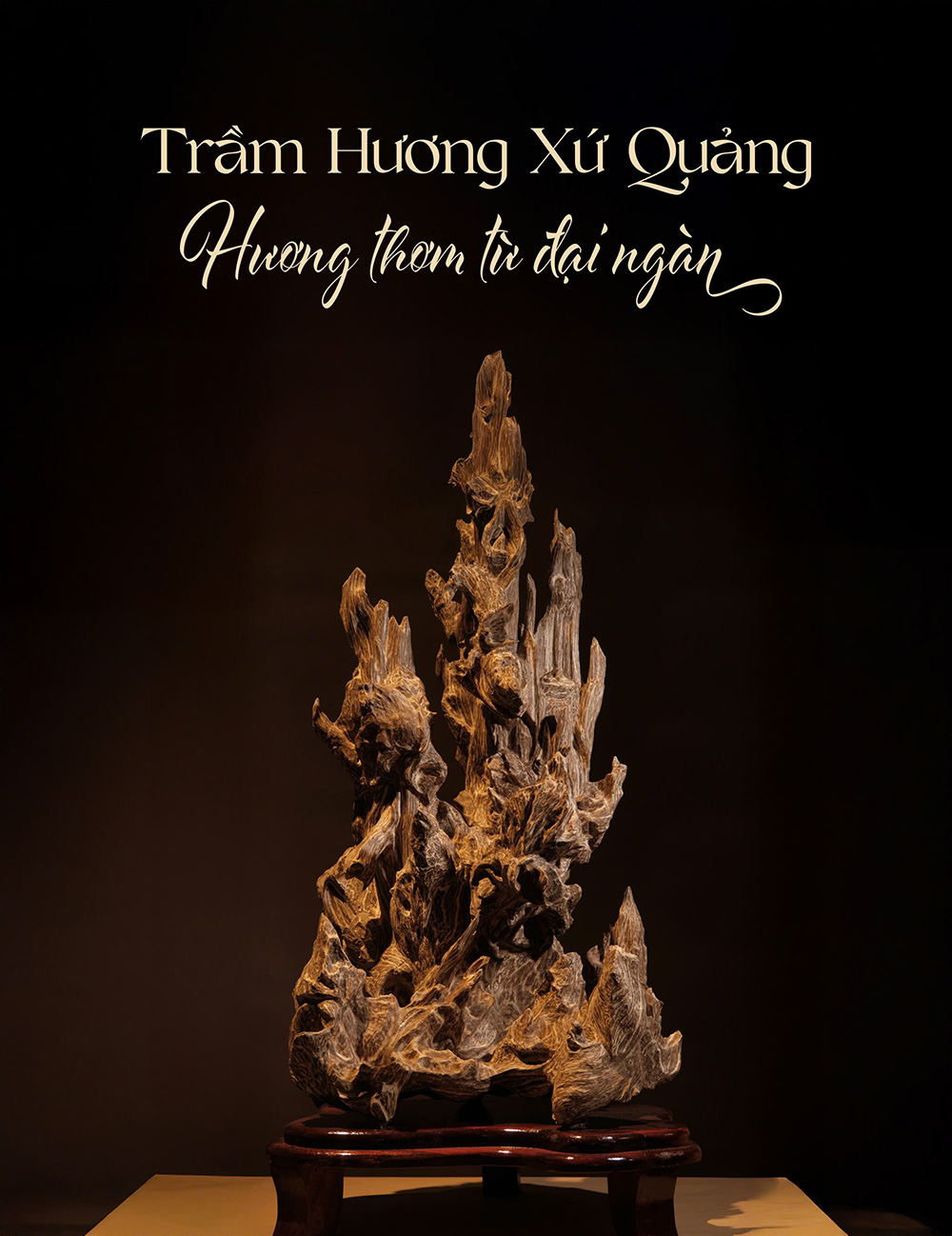 Trầm hương xứ Quảng – Hương thơm từ đại ngàn. Trải Nghiệm Và Khám Phá Văn Hóa Trầm Hương Tại Bảo tàng Đà Nẵng
